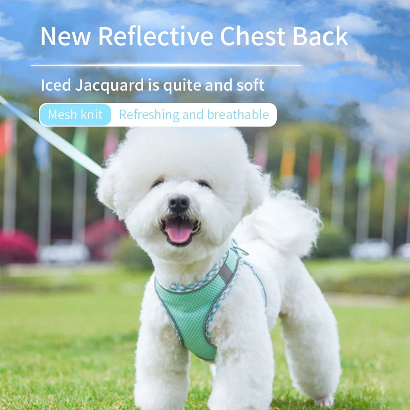 Dog/ Cat Harness Vest & Leash Set -Reflective, Breathable, Adjustable for Small Dogs, Puppy or Large Cats