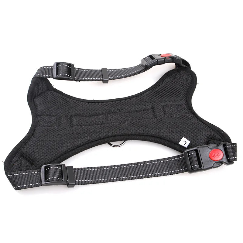 Heavy Duty Dog Harness with Grab Handle