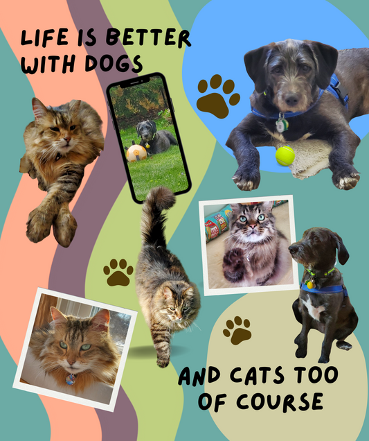 Custom 50x60 Blanket_Life is Better with Dogs and Cats Too_3 frames plus 3 Cutout pics