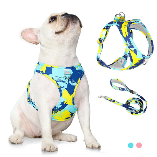 Puppy or Small Dog or Cat Adjustable Vest Harness  & Leash