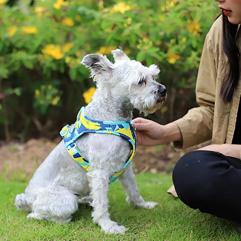 Puppy or Small Dog or Cat Adjustable Vest Harness  & Leash