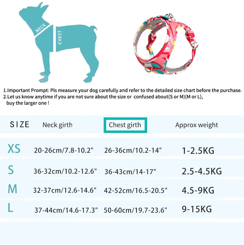 Harnais et laisse réglables pour chiot ou petit chien ou chat