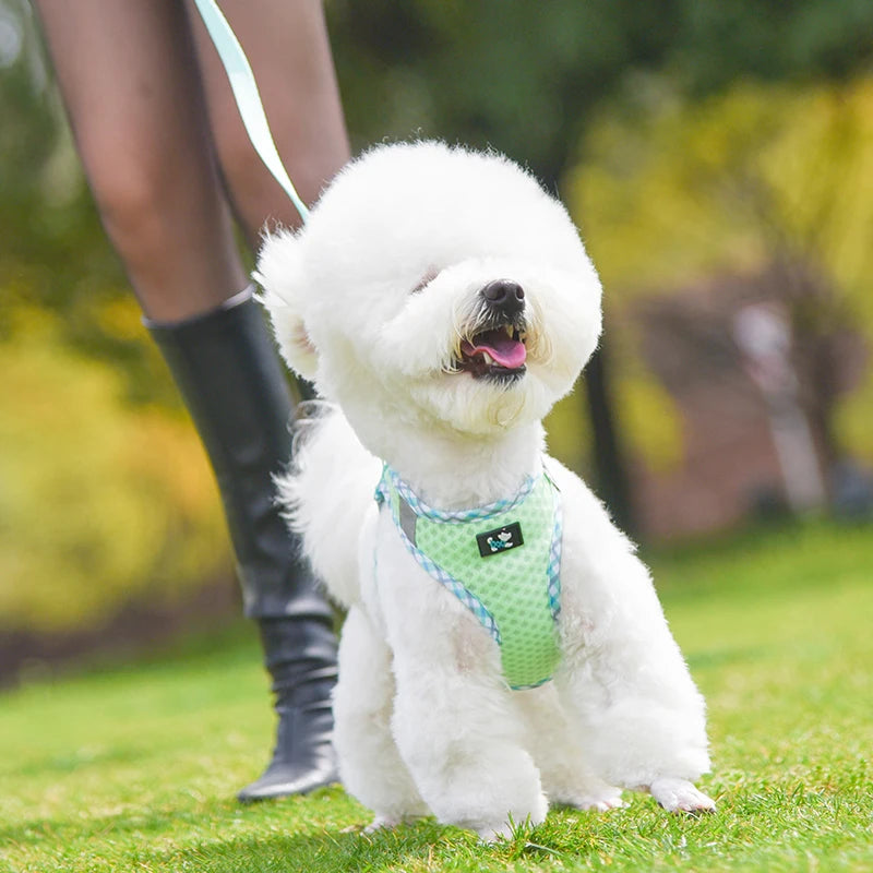 Harnais réfléchissant pour chien/chat avec laisse pour petits chiens, chats, chiots