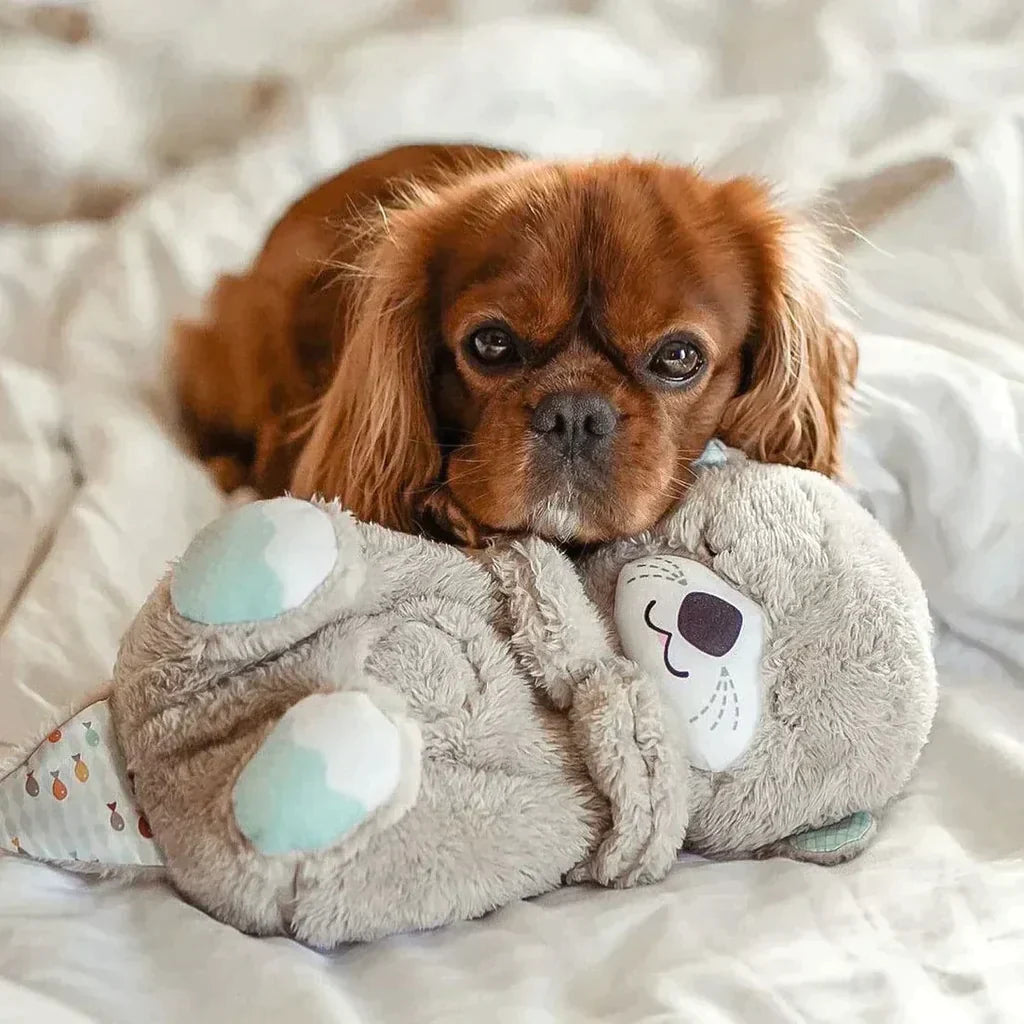 Sweet Dreams Otter Hug: Comfort for All